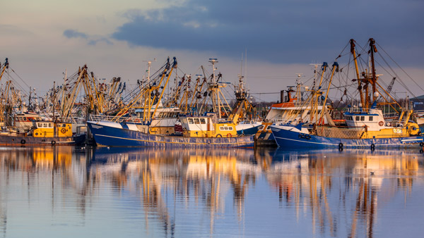 Fisheries